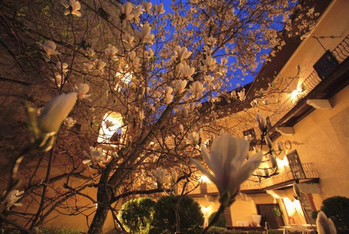 Schlosshotel Obermayerhofen Sebersdorf Ngoại thất bức ảnh