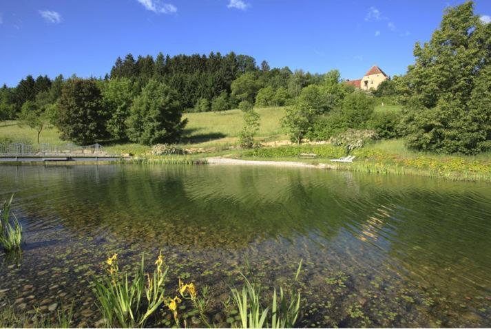 Schlosshotel Obermayerhofen Sebersdorf Ngoại thất bức ảnh